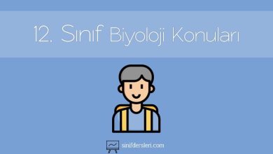 12. Sınıf Biyoloji Konuları