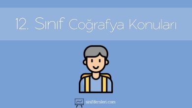 12. Sınıf Coğrafya Konuları