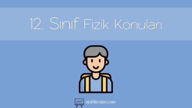 12. Sınıf Fizik Konuları