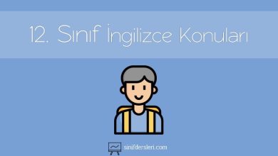 12. Sınıf İngilizce Konuları