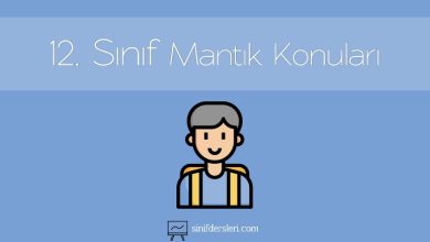 12. Sınıf Mantık Konuları