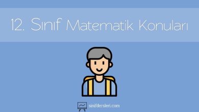 12. Sınıf Matematik Konuları