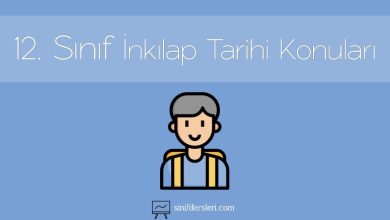 12. Sınıf T.C. İnkılap Tarihi Konuları