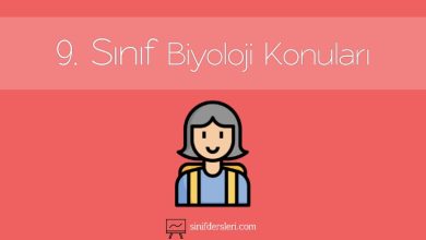 9. Sınıf Biyoloji Konuları