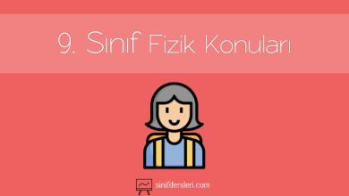 9. Sınıf Fizik Konuları