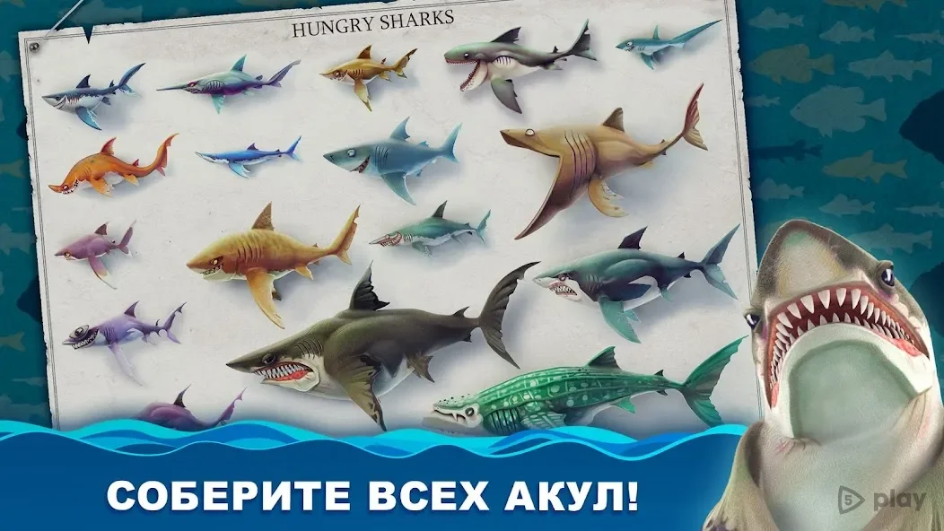 Unleash the Beast: Hungry Shark World MOD 6.8.4 – Swim, Hunt, and Grow Rich!