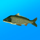 Get True Fishing 1.18.0.863 APK [MOD] – All Equipment & Locations Free